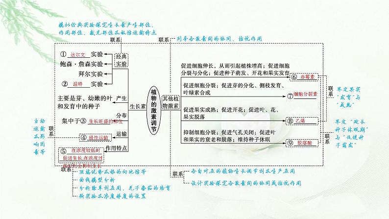 新教材高考生物二轮复习专题七个体稳态与调节第二讲植物激素调节课件03