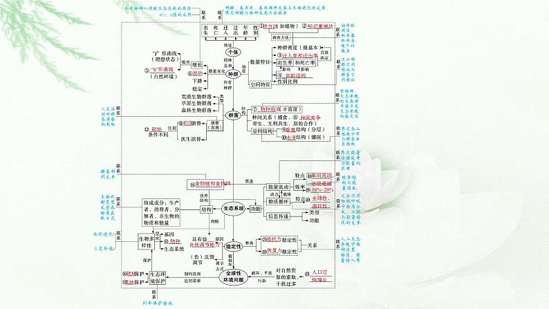 新教材高考生物二轮复习专题八生物与环境课件第3页