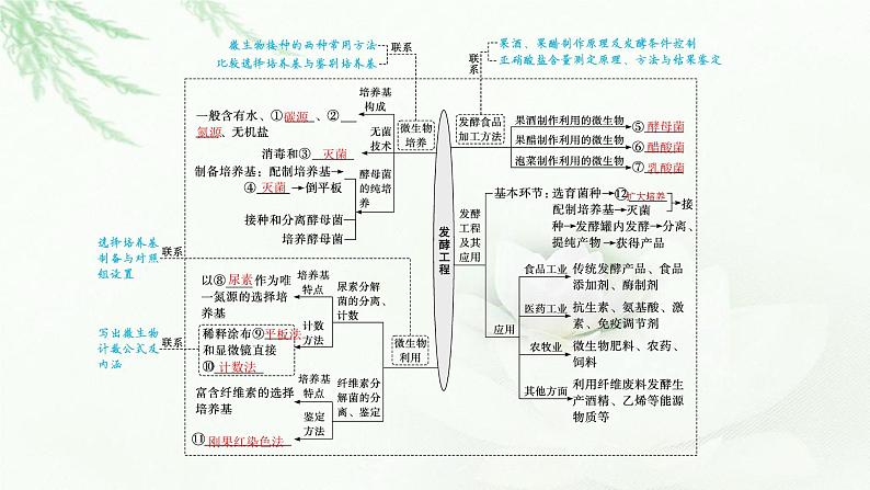 新教材高考生物二轮复习专题九发酵工程课件03