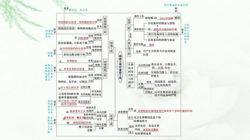 新教材高考生物二轮复习专题一0细胞工程和基因工程课件03