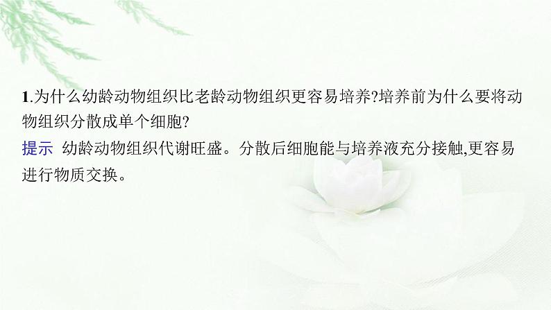 新教材高考生物二轮复习专题一0细胞工程和基因工程课件05