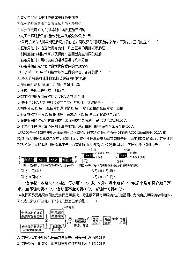 山东省济宁市部分学校2023-2024学年高二下学期3月大联考生物试题(无答案)第3页