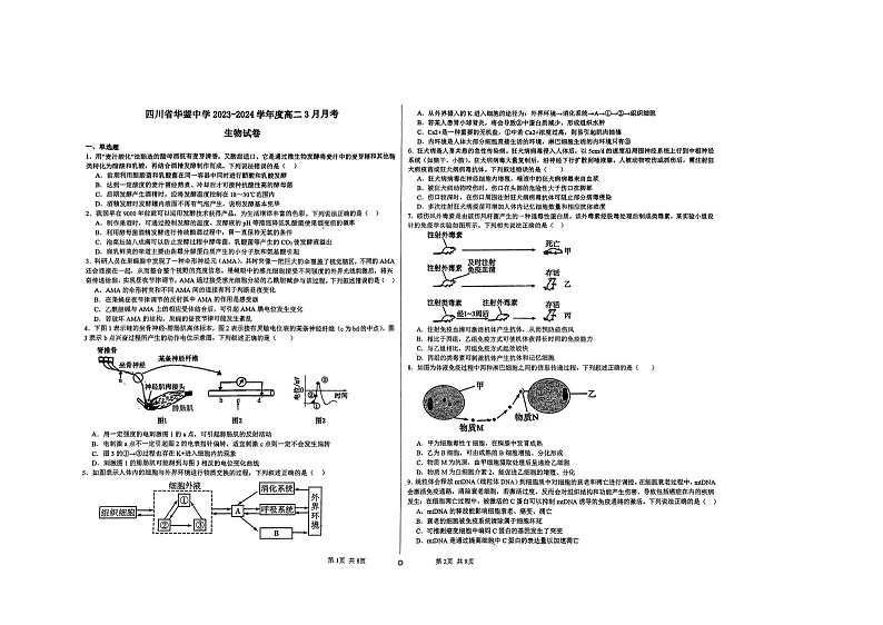四川省广安市华蓥市四川省华蓥中学2023-2024学年高二下学期3月月考生物试题第1页