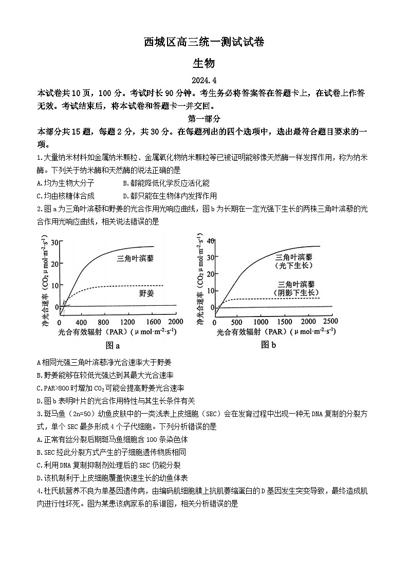 北京市西城区2023—2024学年高三下学期一模考试生物试题(无答案)第1页