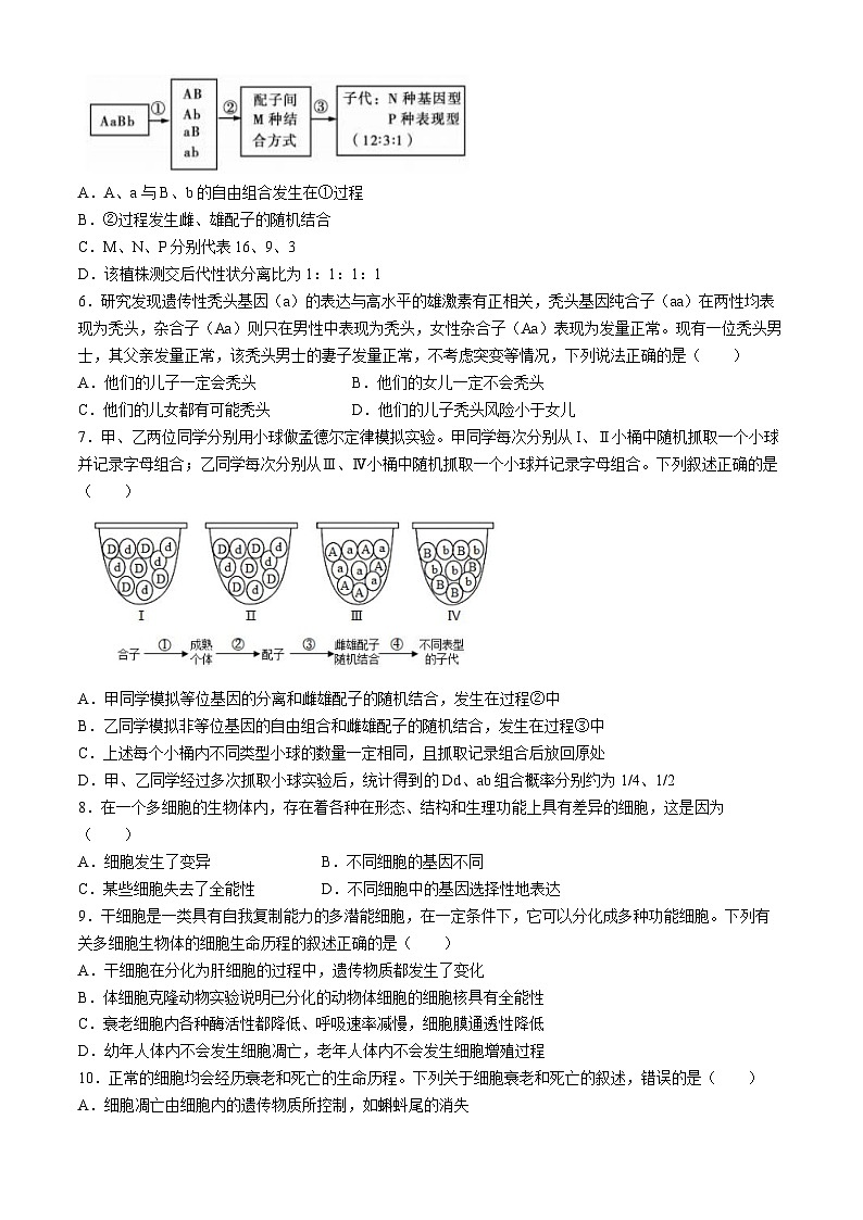 广东省四会中学、广信中学2023-2024学年高一下学期第一次月考生物试题02