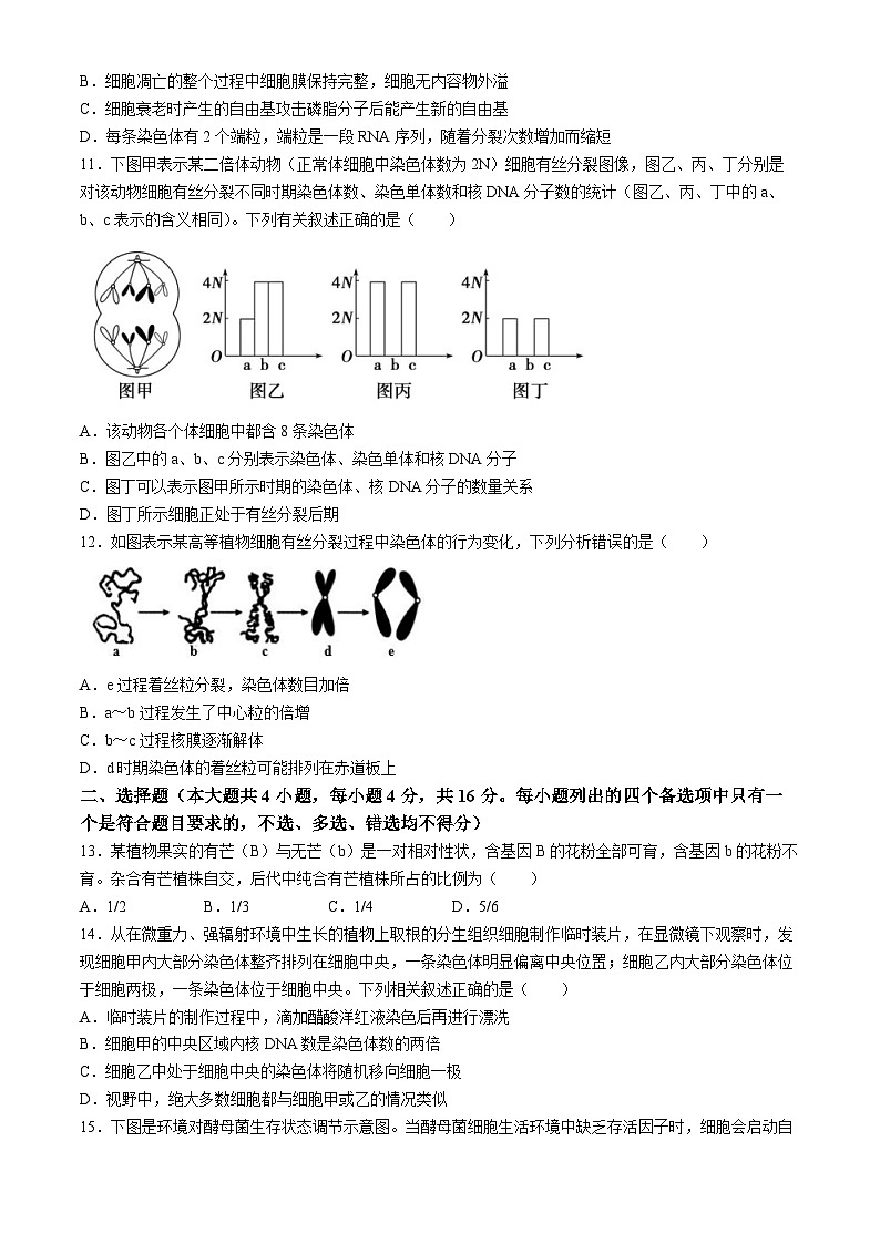 广东省四会中学、广信中学2023-2024学年高一下学期第一次月考生物试题03