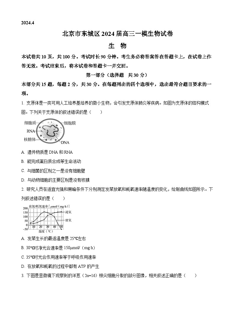 2024届北京市东城区高三一模生物试卷（原卷版）第1页