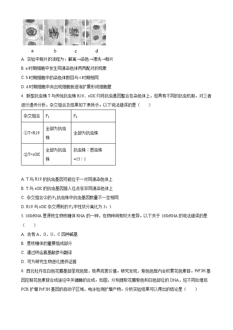 2024届北京市东城区高三一模生物试卷（原卷版）第2页