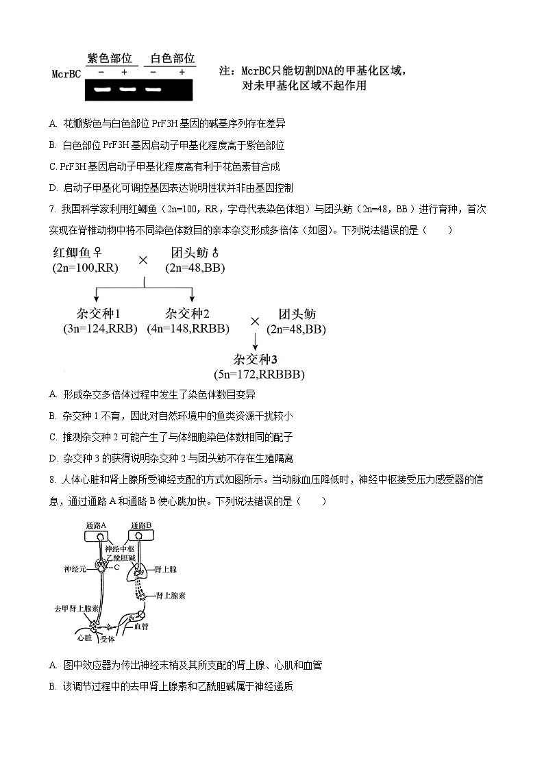 2024届北京市东城区高三一模生物试卷（原卷版）第3页
