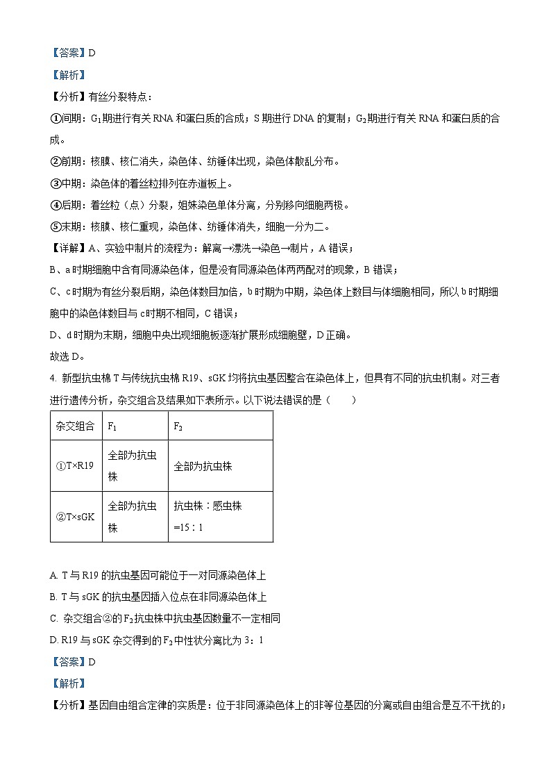 2024届北京市东城区高三一模生物试卷（解析版）第3页