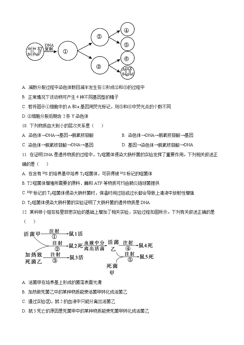 江苏省泰州市海陵区江苏省泰州中学2023-2024学年高一下学期4月期中生物试题（原卷版）第3页
