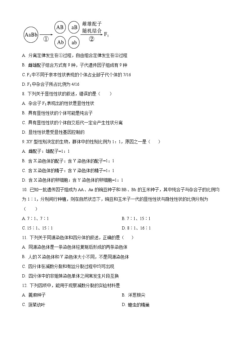 云南省大理白族自治州祥云县祥云祥华中学2023-2024学年高一下学期4月月考生物试题（原卷版+解析版）02