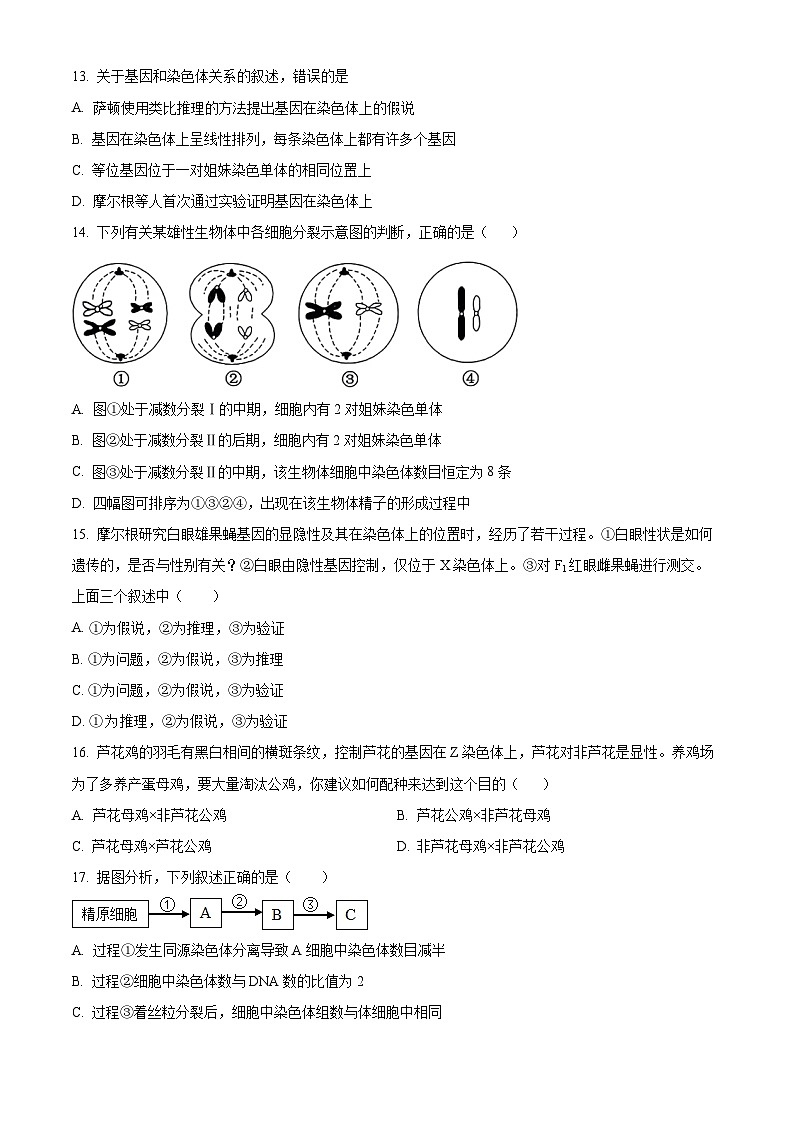 云南省大理白族自治州祥云县祥云祥华中学2023-2024学年高一下学期4月月考生物试题（原卷版+解析版）03