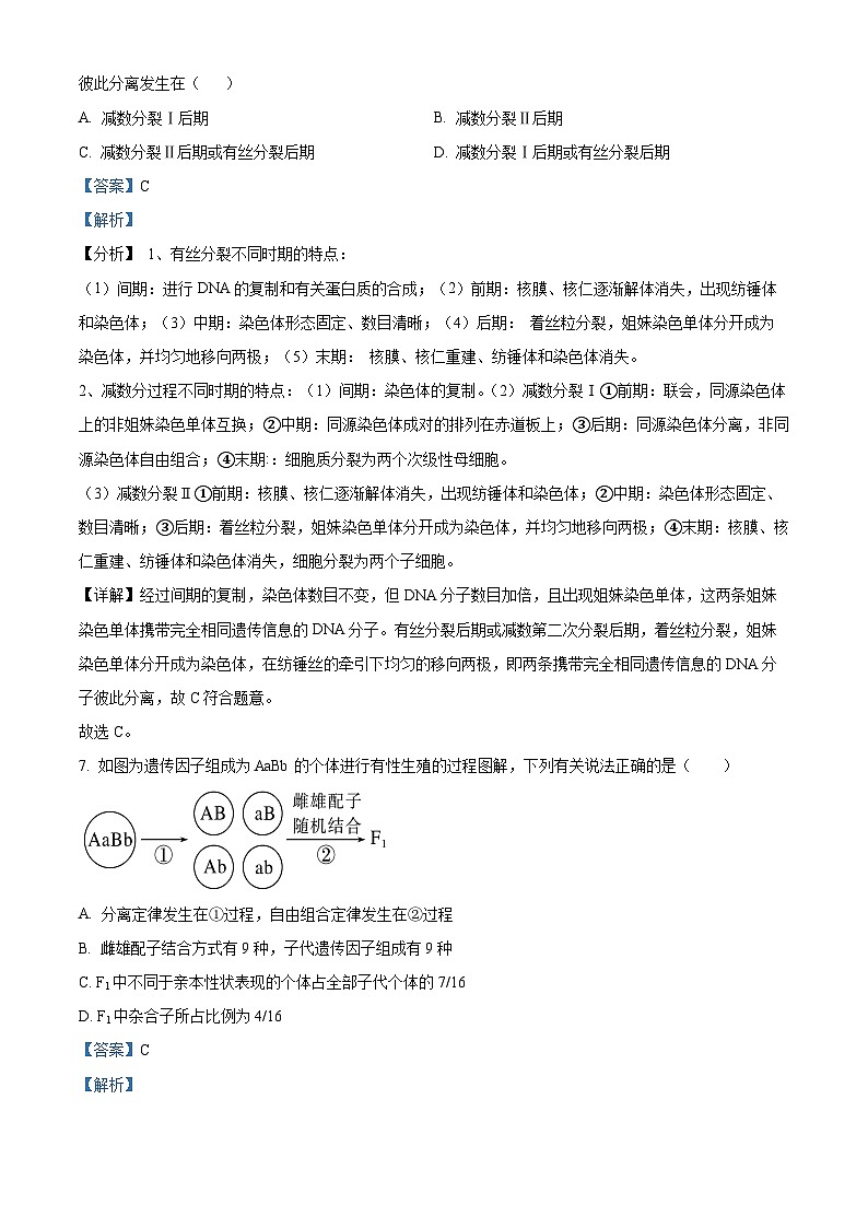 云南省大理白族自治州祥云县祥云祥华中学2023-2024学年高一下学期4月月考生物试题（原卷版+解析版）03