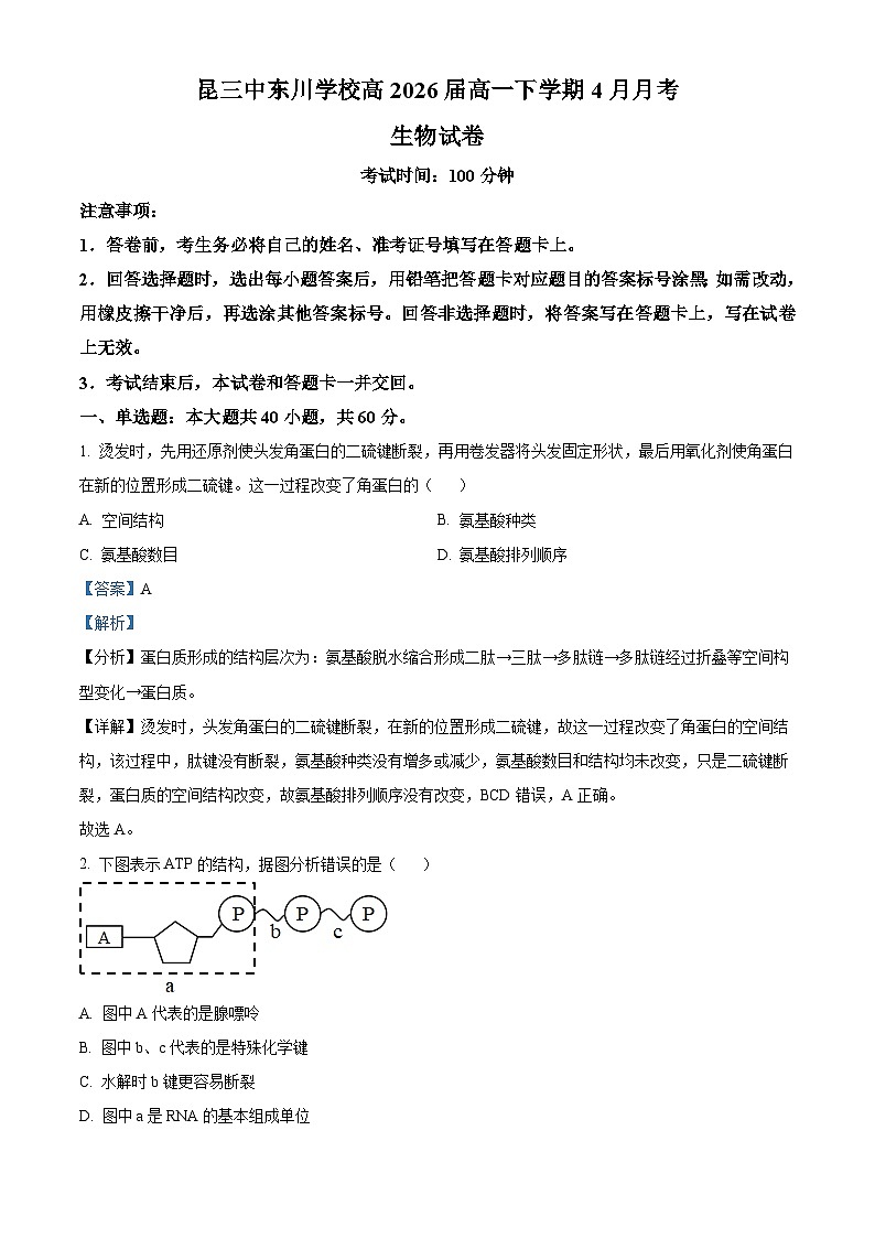 云南省昆明市东川区第三中学2023-2024学年高一下学期4月月考生物试题（解析版）第1页