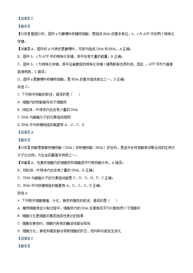 云南省昆明市东川区第三中学2023-2024学年高一下学期4月月考生物试题（解析版）第2页