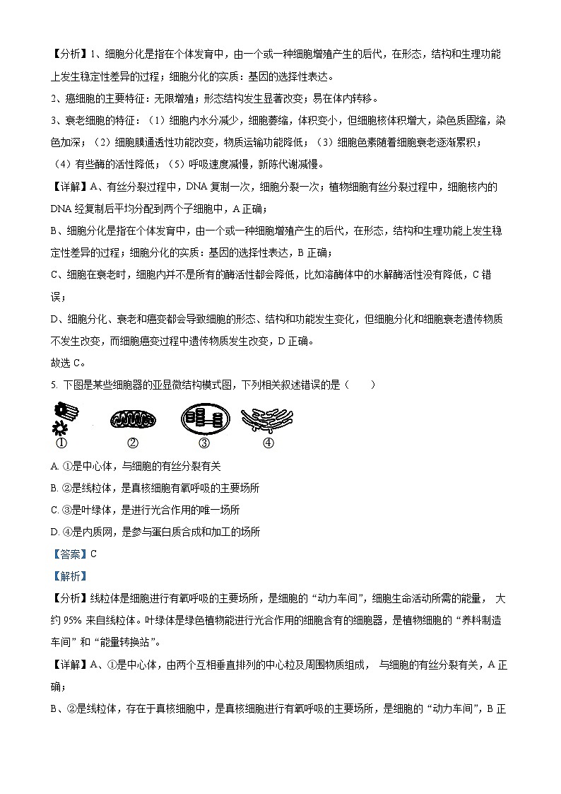云南省昆明市东川区第三中学2023-2024学年高一下学期4月月考生物试题（解析版）第3页