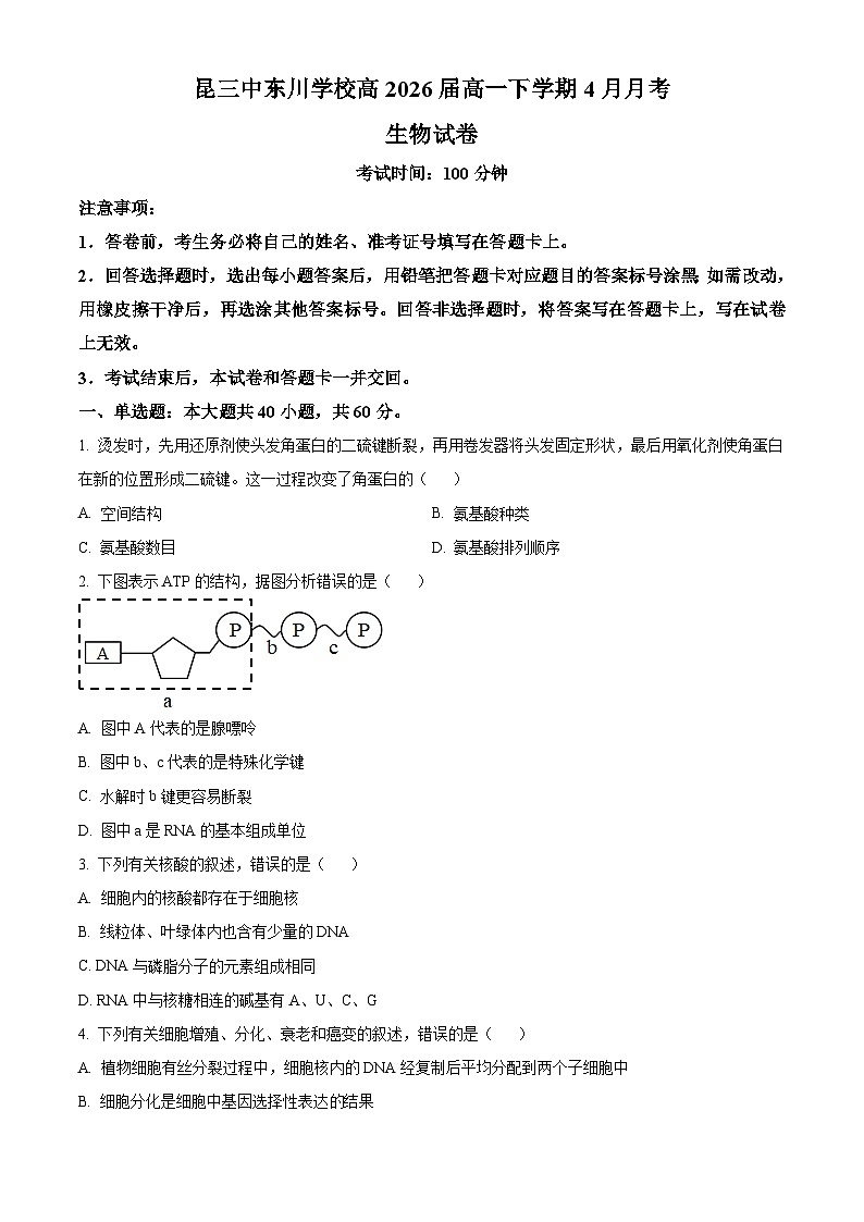 云南省昆明市东川区第三中学2023-2024学年高一下学期4月月考生物试题（原卷版）第1页