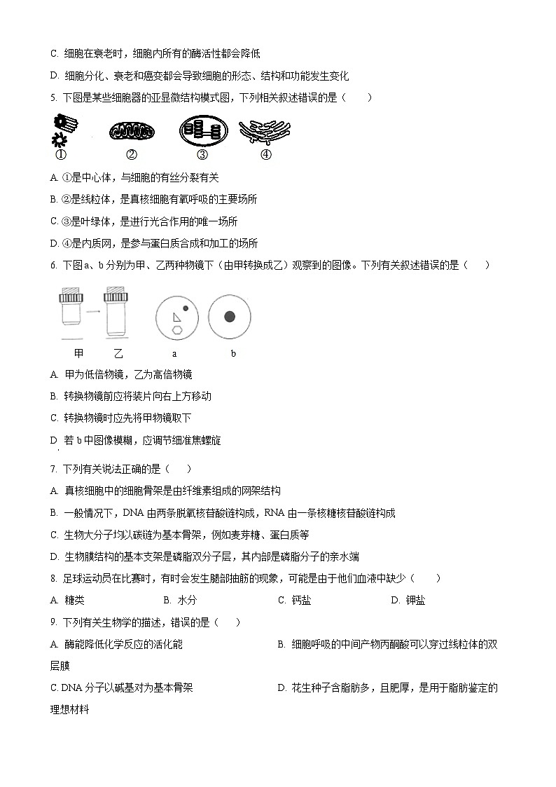云南省昆明市东川区第三中学2023-2024学年高一下学期4月月考生物试题（原卷版）第2页
