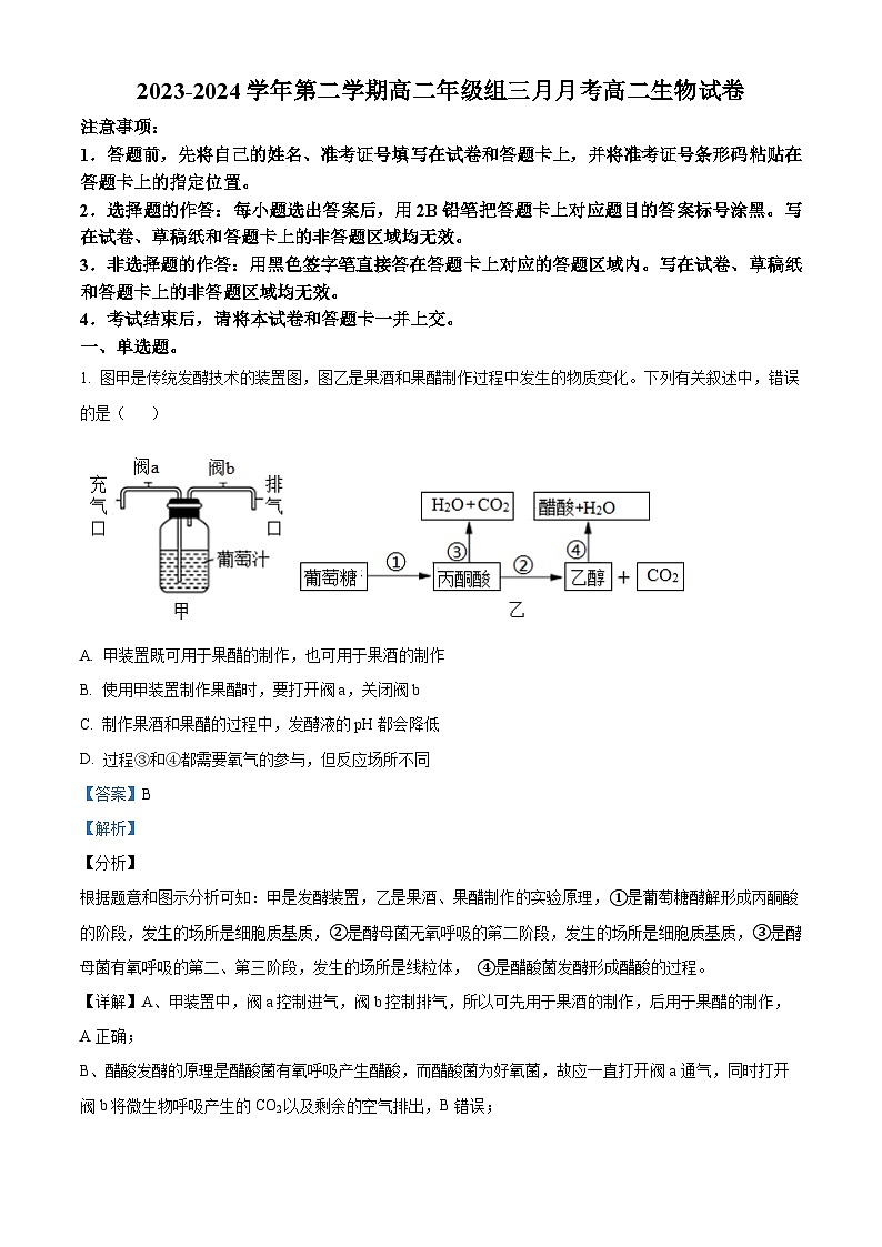 新疆伊犁哈萨克自治州霍城县江苏中学2023-2024学年高二下学期3月考试生物试题（原卷版+解析版）01