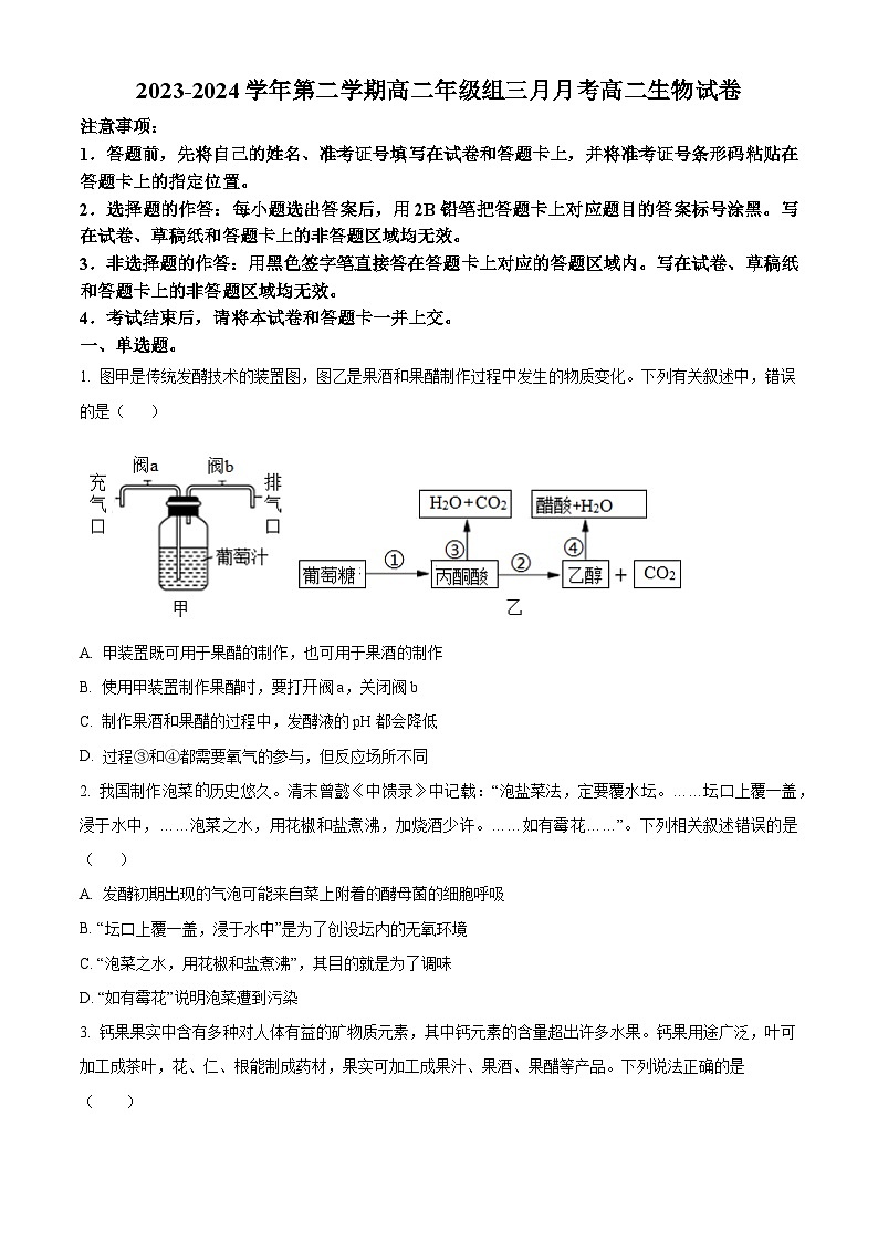 新疆伊犁哈萨克自治州霍城县江苏中学2023-2024学年高二下学期3月考试生物试题（原卷版+解析版）01