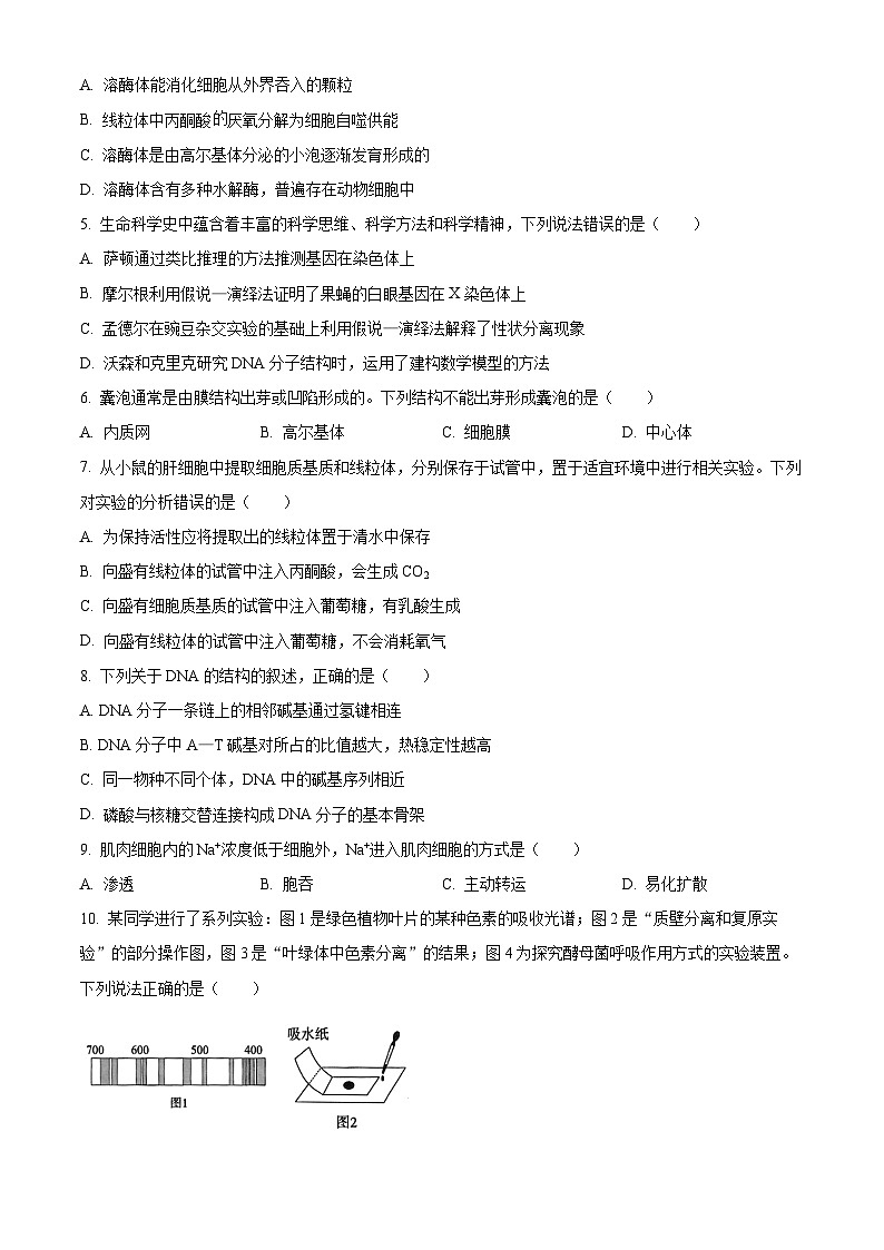 浙江省丽水市发展共同体2023-2024学年高一下学期4月联考生物试题（Word版附解析）02