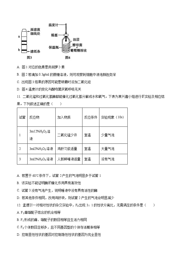 浙江省丽水市发展共同体2023-2024学年高一下学期4月联考生物试题（Word版附解析）03