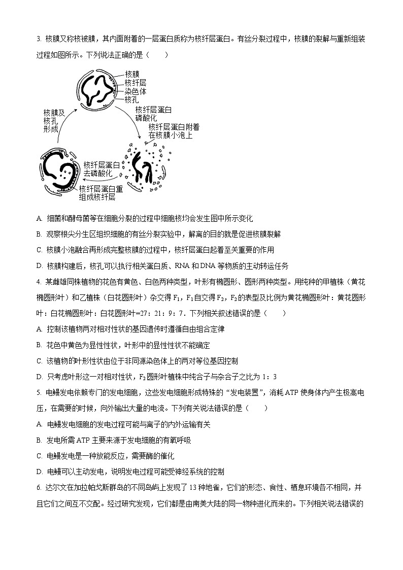 2024届贵州省贵阳市第六中学高三下学期一模考试生物试题（原卷版+解析版）02