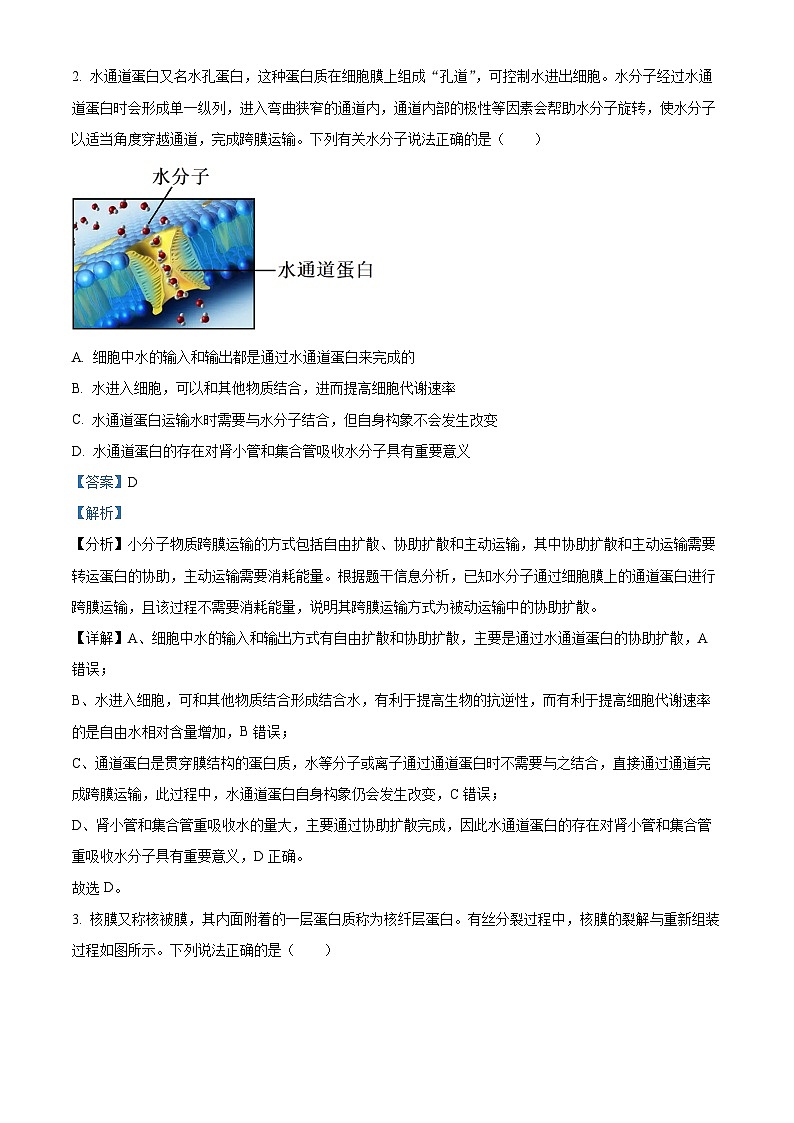 2024届贵州省贵阳市第六中学高三下学期一模考试生物试题（原卷版+解析版）02