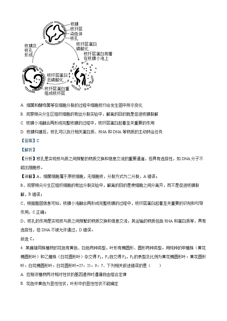 2024届贵州省贵阳市第六中学高三下学期一模考试生物试题（原卷版+解析版）03