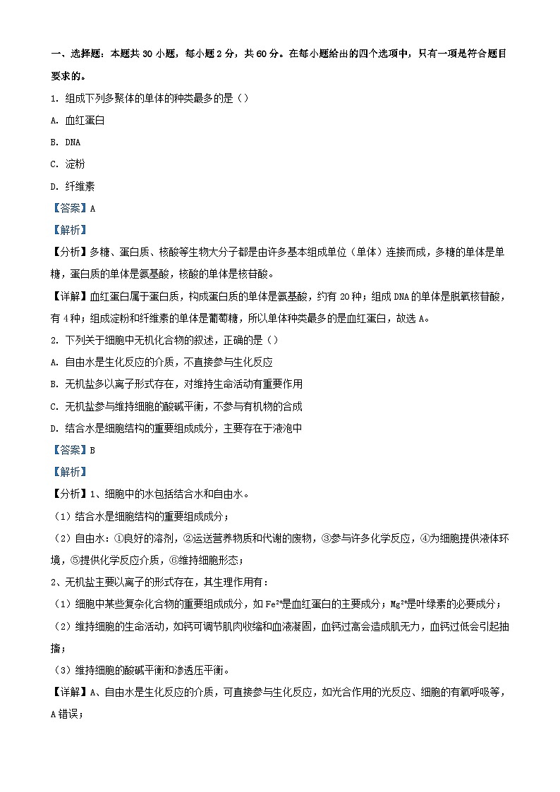 宁夏中卫市中宁县2022_2023学年高三生物上学期10月月考试题含解析01