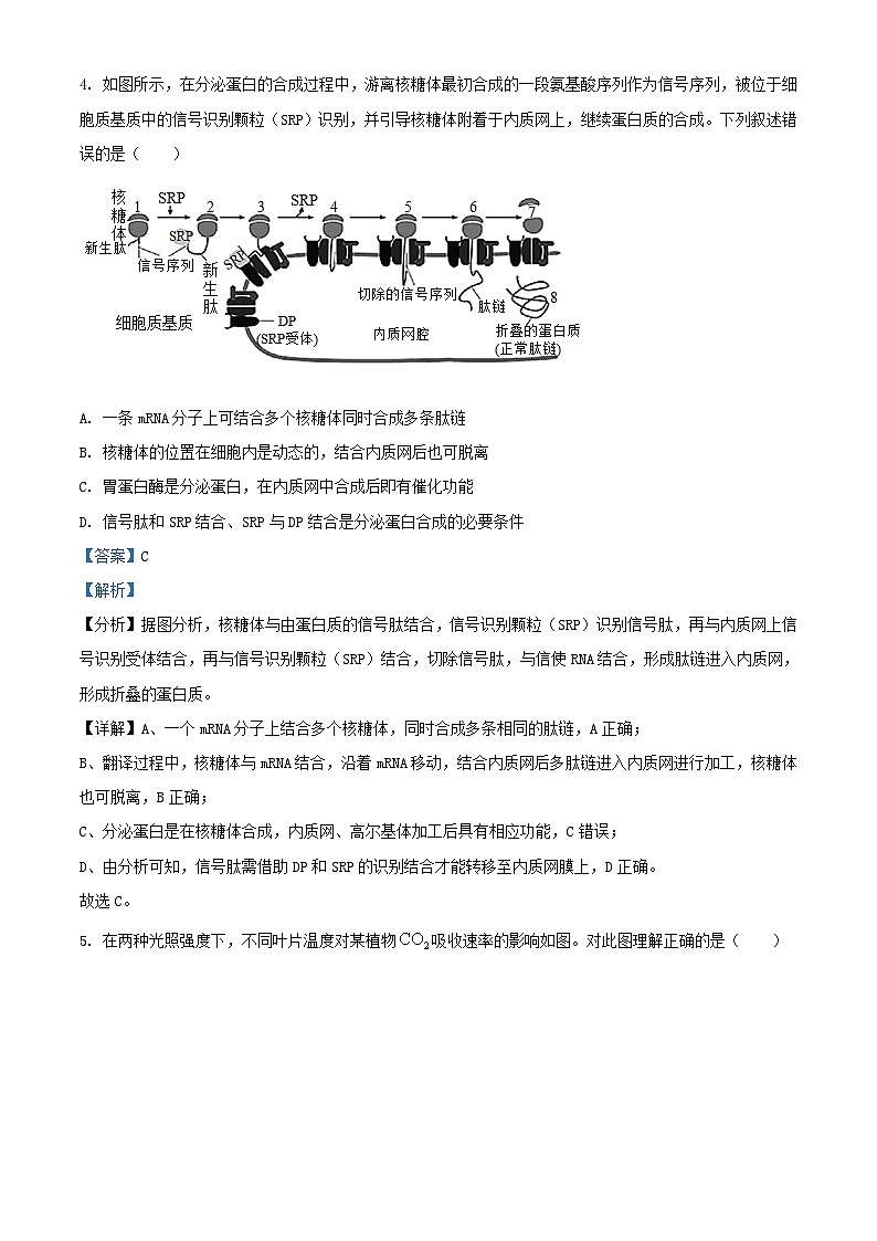 内蒙古赤峰市2023_2024学年高三生物上学期10月月考试题含解析03