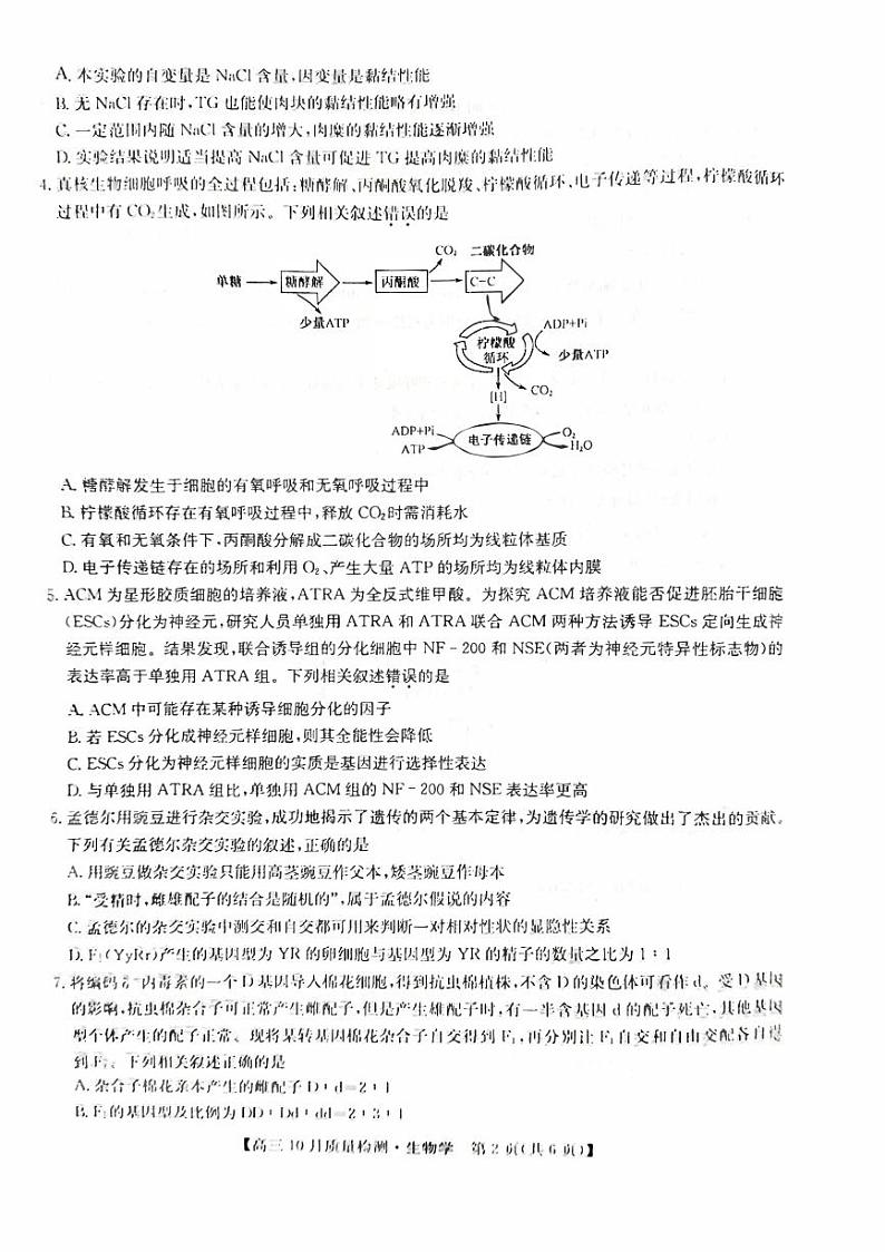 河南省2023_2024高三生物上学期10月联考试题pdf02