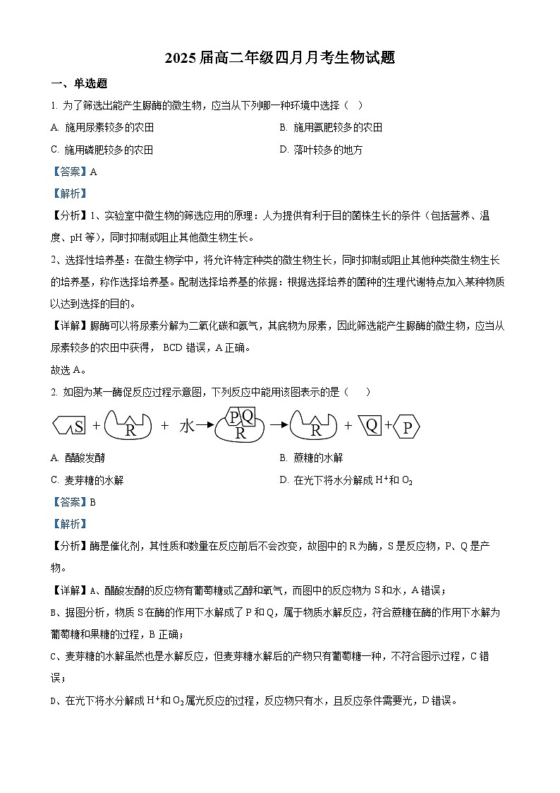 四川省眉山市彭山区第一中学2023-2024学年高二下学期4月月考生物试题（原卷版+解析版）01