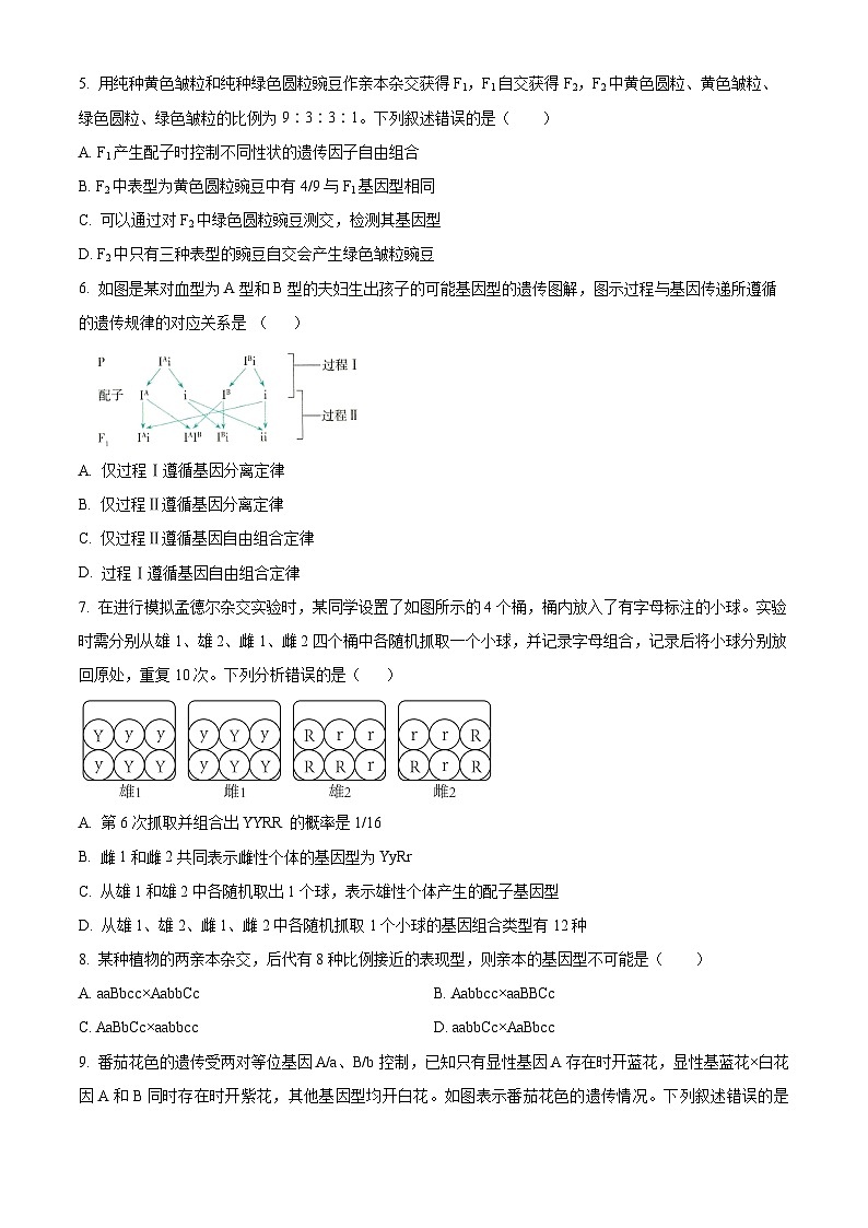 四川省眉山市彭山区第一中学2023-2024学年高一下学期4月月考生物试题（原卷版+解析版）02