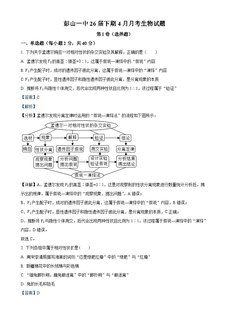 四川省眉山市彭山区第一中学2023-2024学年高一下学期4月月考生物试题（原卷版+解析版）01