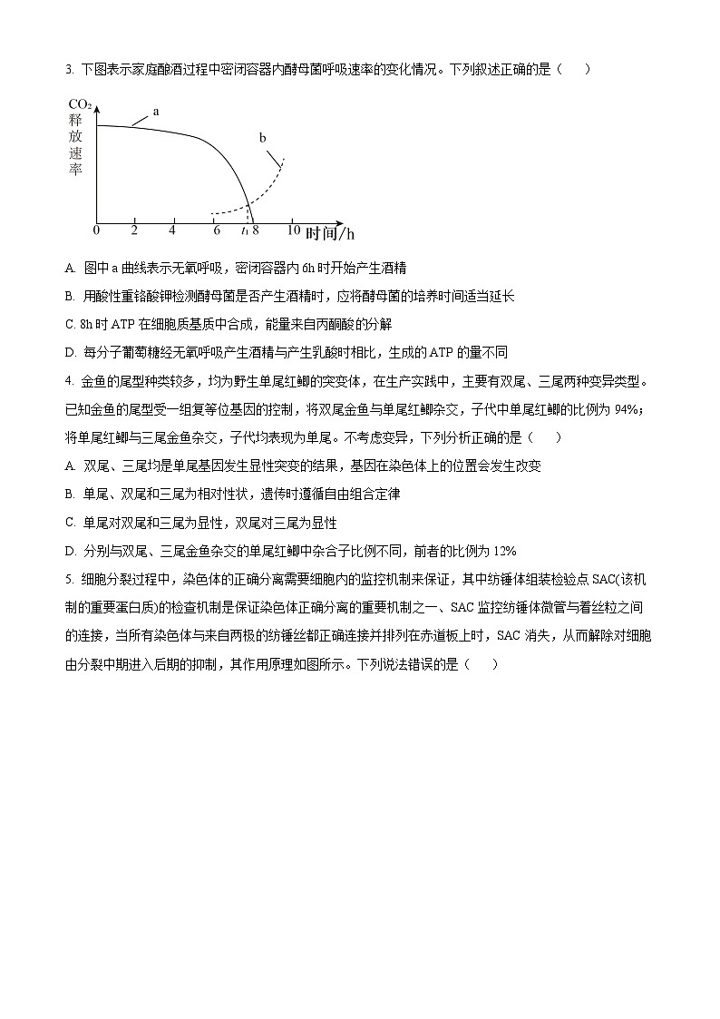 2024届贵州省普通高中学业水平选择性模拟考试生物试题(五)（原卷版+解析版）02