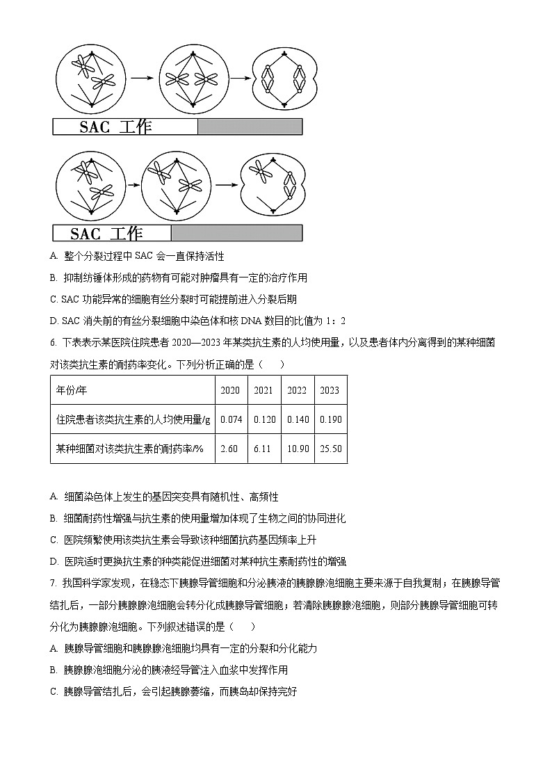 2024届贵州省普通高中学业水平选择性模拟考试生物试题(五)（原卷版+解析版）03