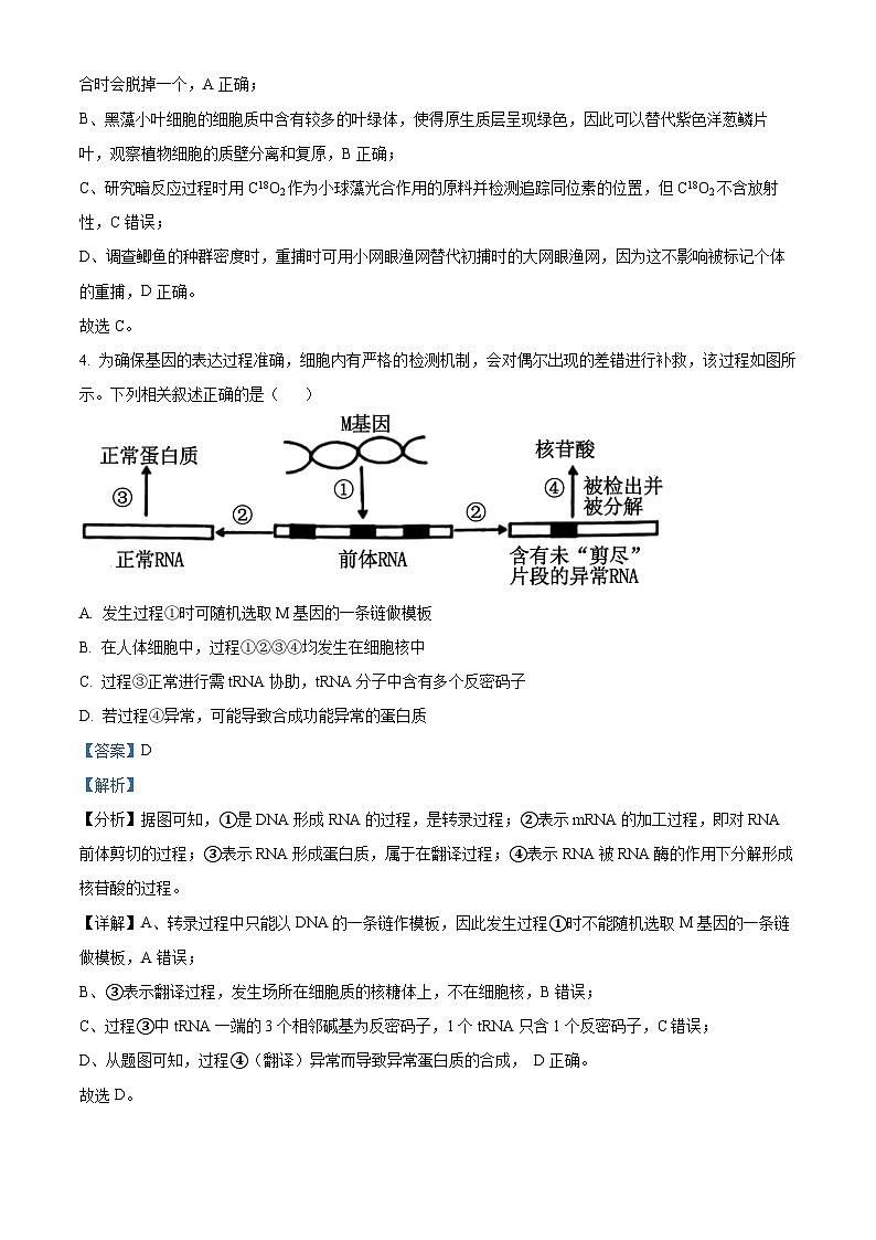 2024届河北省保定市高考一模生物试题（原卷版+解析版）03