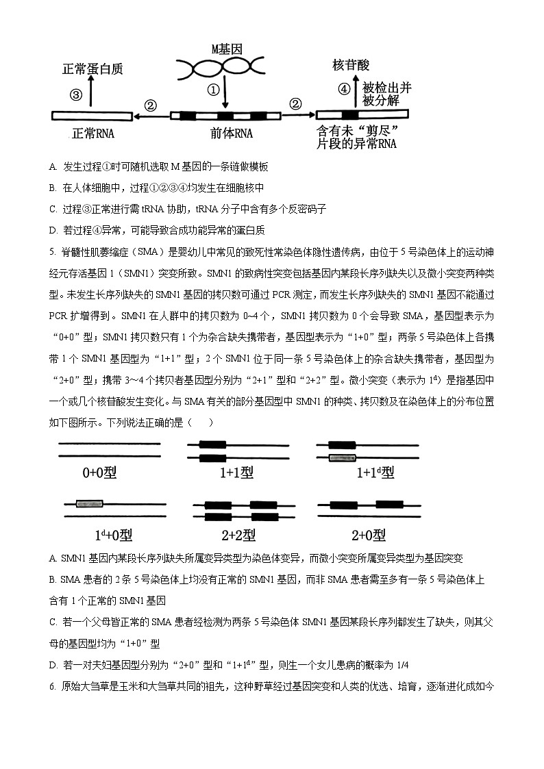 2024届河北省保定市高考一模生物试题（原卷版+解析版）02