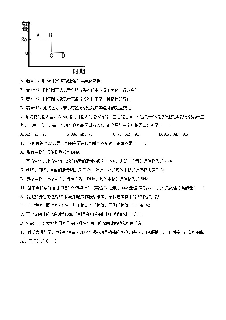 辽宁省阜新市部分学校2023-2024学年高一下学期4月月考生物试题（原卷版+解析版）03