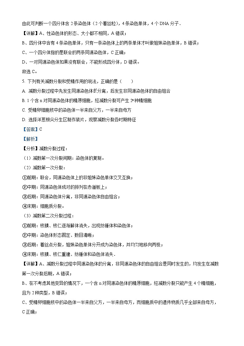 云南省丽江润泽高级中学2023-2024学年高一下学期3月月考生物试题（解析版）第3页