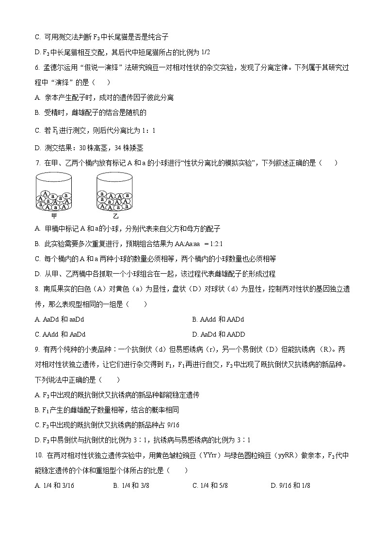 云南省文山壮族自治州广南县第十中学校2023-2024学年高一下学期3月考试生物试卷（原卷版）第2页