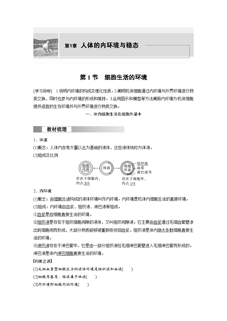 2024年高中生物新教材同步学案 选择性必修第一册 第1章 第1节　细胞生活的环境（含解析）01