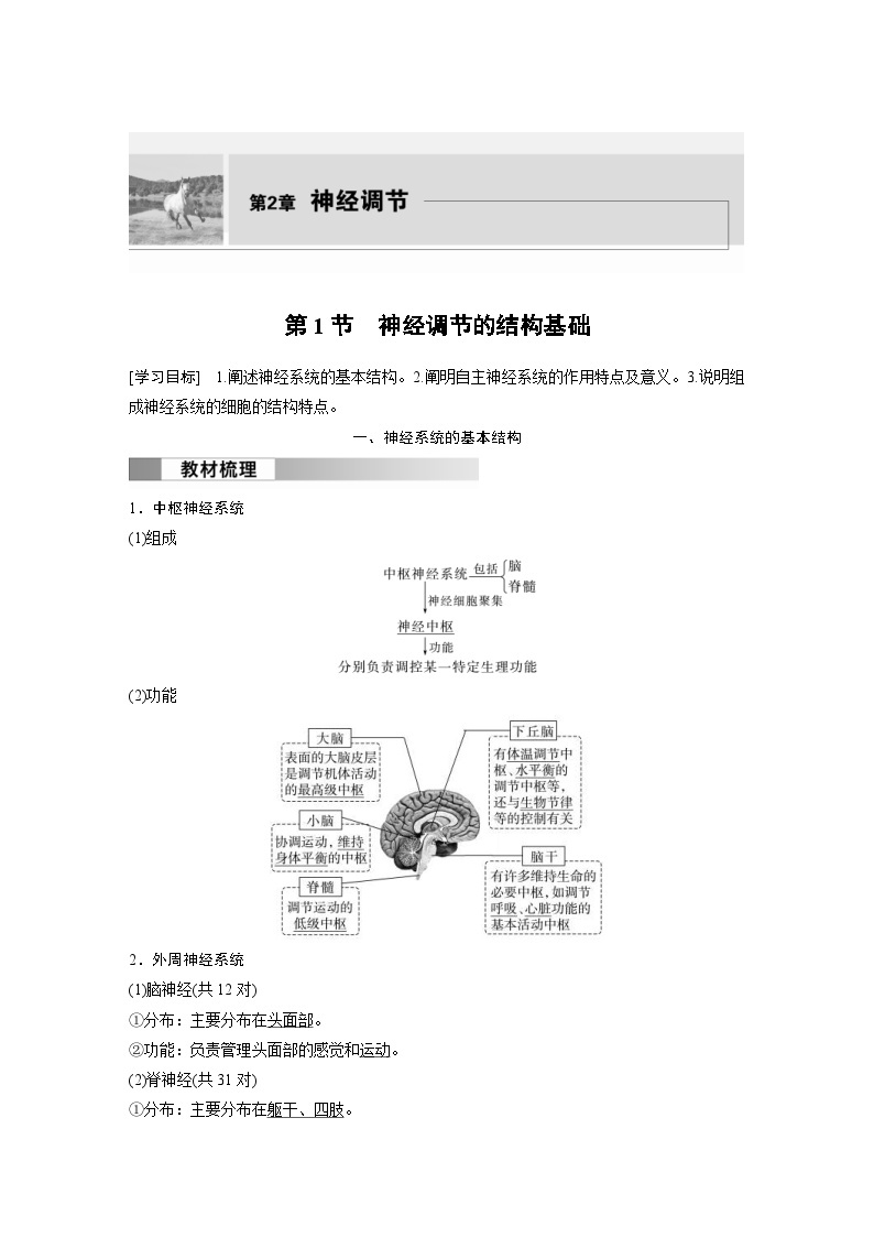 2024年高中生物新教材同步学案 选择性必修第一册 第2章 第1节　神经调节的结构基础（含解析）01