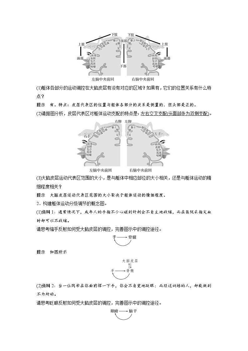 2024年高中生物新教材同步学案 选择性必修第一册 第2章 第4节　神经系统的分级调节（含解析）02
