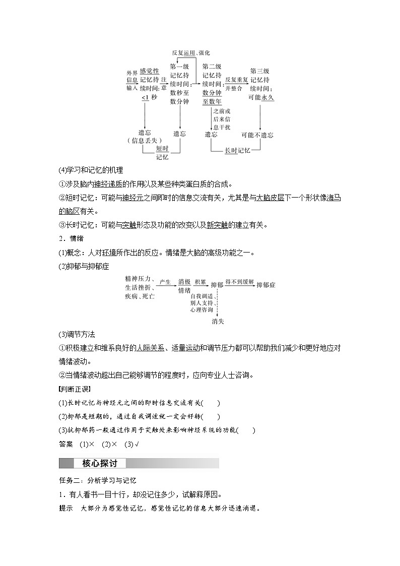 2024年高中生物新教材同步学案 选择性必修第一册 第2章 第5节　人脑的高级功能（含解析）03