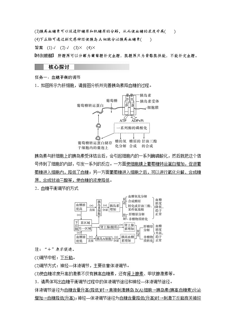2024年高中生物新教材同步学案 选择性必修第一册 第3章 第2节 第1课时　血糖平衡的调节（含解析）02
