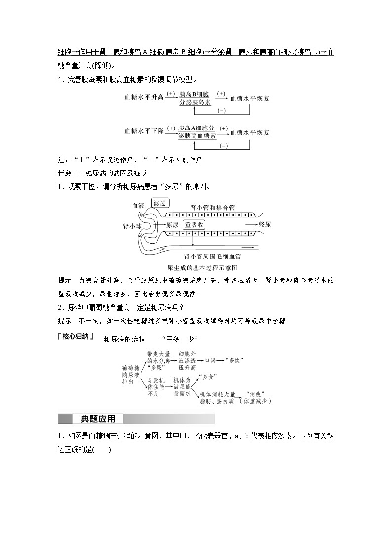 2024年高中生物新教材同步学案 选择性必修第一册 第3章 第2节 第1课时　血糖平衡的调节（含解析）03
