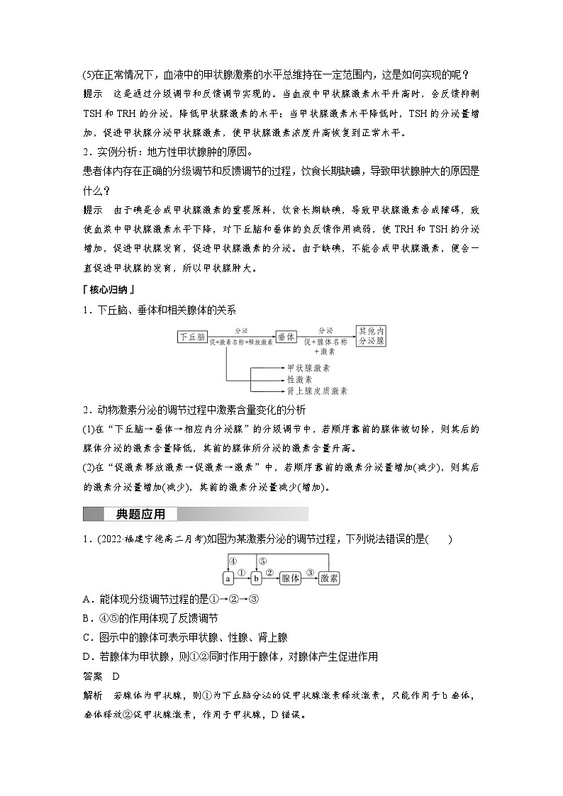 2024年高中生物新教材同步学案 选择性必修第一册 第3章 第2节 第2课时　甲状腺激素分泌的分级调节和激素调节的特点（含解析）第3页